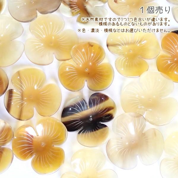 5416-［アフリカ水牛］　フラワー（３枚花びら）　５５mm平均　１個 |  | 01