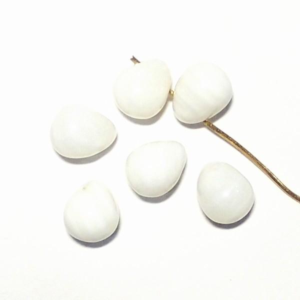 7797-《天然石太っちょドロップ》　シェル　８x１０mm　６個/１パック | 