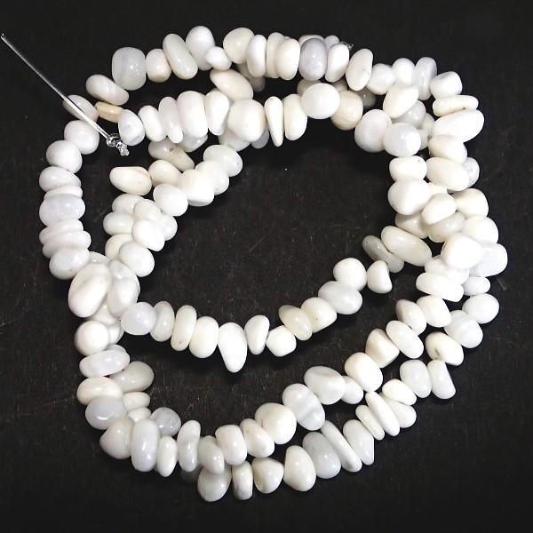 7873-《天然石　ちびころ》　白い貝　約３９cm/１本 | 