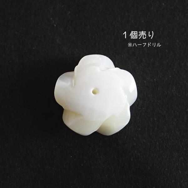 9577-『シェル』　白蝶貝　フラワー（ハーフホール）　１５mm　１個 |  | 01