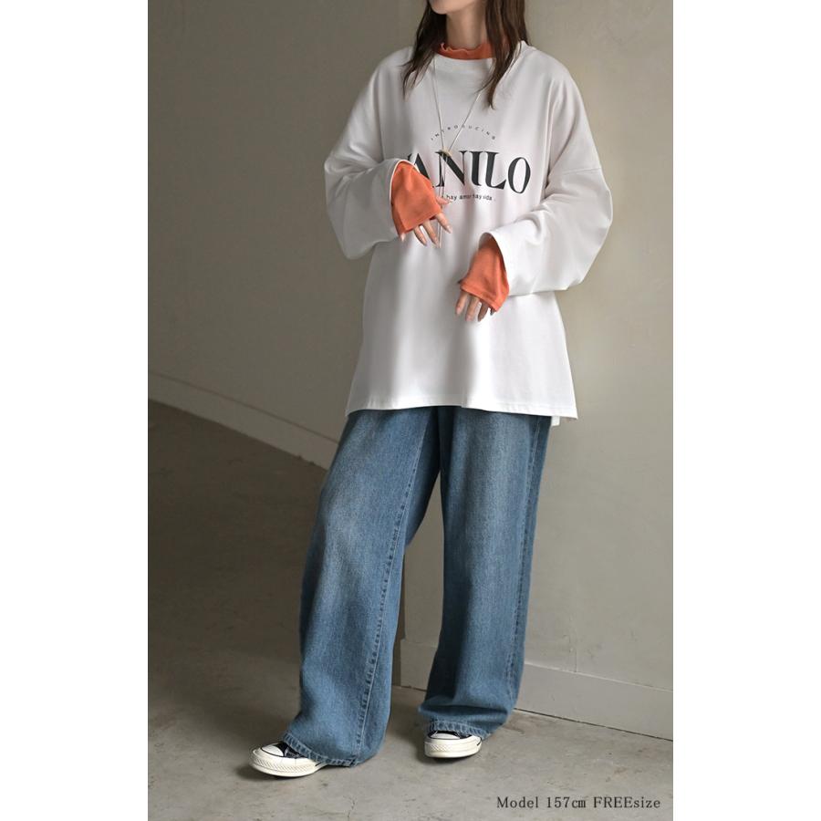 インナー 選べる 2ネック シアー トップス レディース カットソー レイヤード シアートップス シースルー シアーインナー ハイネック クルーネック | HUG.U | 24