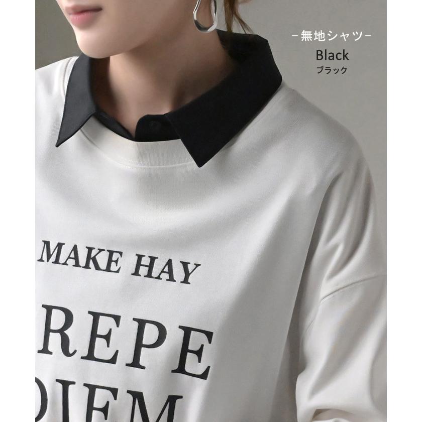 つけ襟 レイヤード シャツ 風 ブラウス レディース フリル 重ね着 チェック 無地 チェックシャツ 付け襟 襟 綿100％ ハイネック スタンドカラー ディッキー | HUG.U | 25