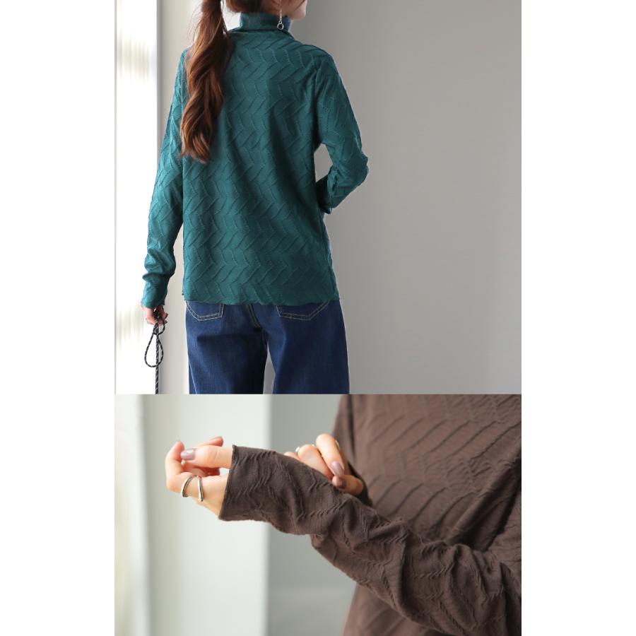 トップス レディース ハイネック インナー 長袖 カットソー タートル レイヤード 肌隠し 刺繍 シアー | HUG.U | 21