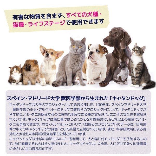 送料無料 お得な2個セット 日本正規代理店商品 キャタンドッグ Cnd Z カタンドッグ 犬 猫 薬不使用 ノミ ダニ 予防 Catandog S ペット 安全 2 ペットグッズショップ Hemuhemu 通販 Yahoo ショッピング
