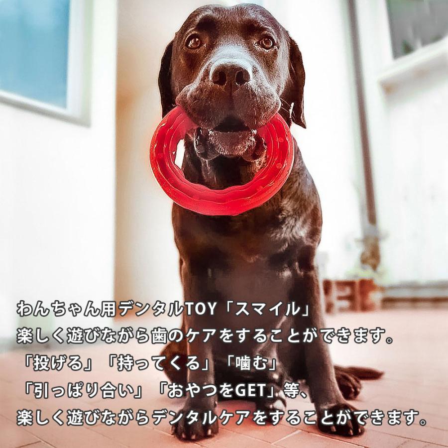 週末限定タイムセール デンタルトイ スクラバー 超小型 小型犬用 ハーツ A ペット ドッグ おもちゃ デンタルケア Shipsctc Org