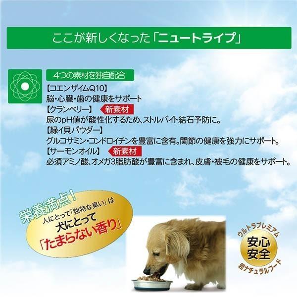 送料無料 生肉ドッグフード ニュートライプ ピュア サーモン グリーントライプ 185g Nut3775ドッグフード 缶詰 Nut3775 ペットグッズショップ Hemuhemu 通販 Yahoo ショッピング