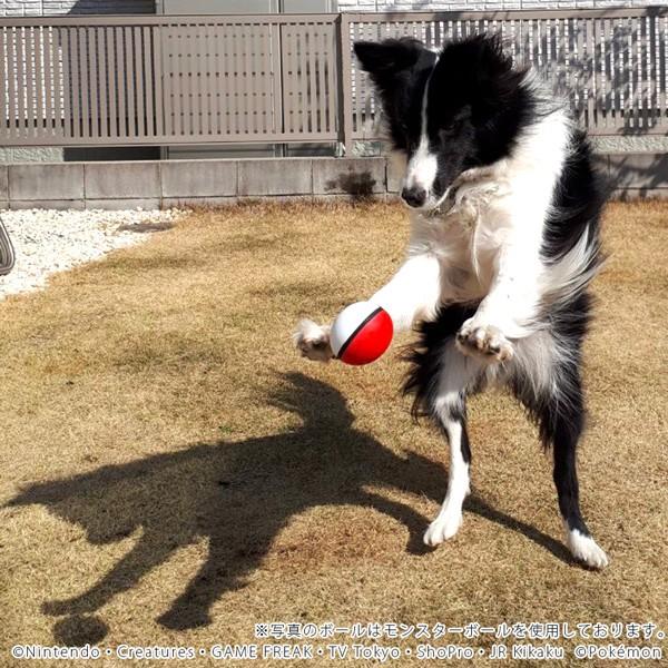 送料無料 1000円ポッキリ その他犬用おもちゃ ポケットモンスター ハイパーボール Pk 犬 おもちゃ ペット用玩具 ポケモン Pk ペットグッズショップ Hemuhemu 通販 Yahoo ショッピング