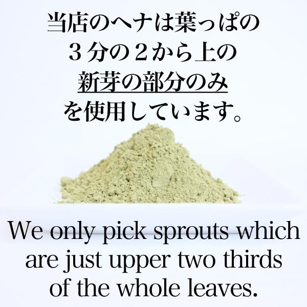 国内正規総代理店アイテム】 ヘナ ヘナタトゥー ヘナシャンプー セット