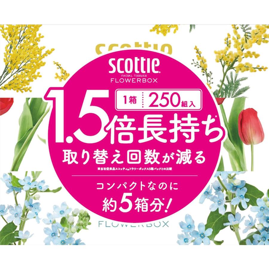 ティッシュペーパー ボックスティッシュ スコッティー 500枚(250組)ｘ３箱ｘ１８パック/卸/送料無料 /代金引換便不可｜henetjigyoubu｜02