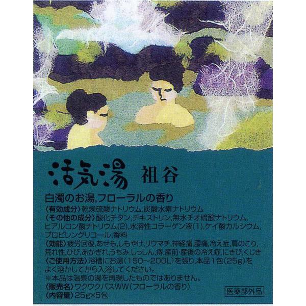 同梱可能 薬用入浴剤「活気湯」日本の有名温泉 6箇所x24箱