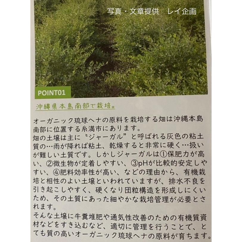 オーガニック琉球ヘナ＆琉球藍 ダークブラウン 100g 国産ヘナ 沖縄産