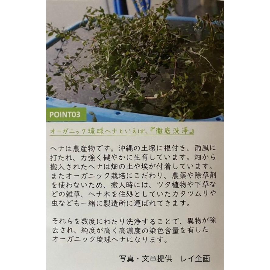 オーガニック琉球ヘナ＆琉球藍 ダークブラウン 100g 国産ヘナ 沖縄産