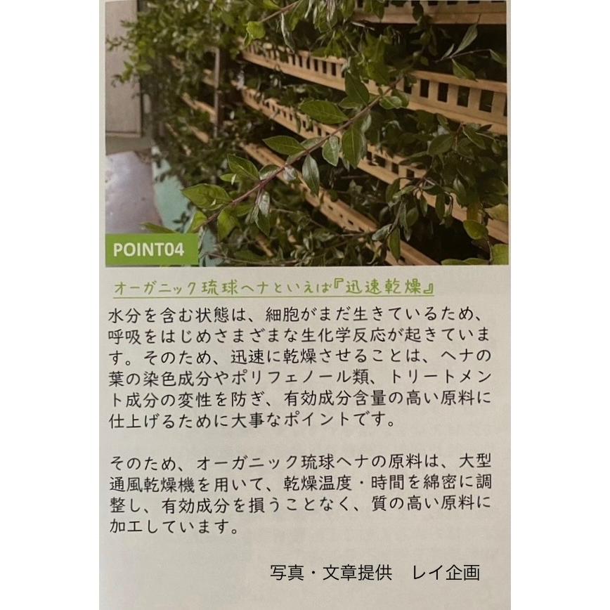 オーガニック琉球ヘナ＆琉球藍 ダークブラウン 100g 国産ヘナ 沖縄産