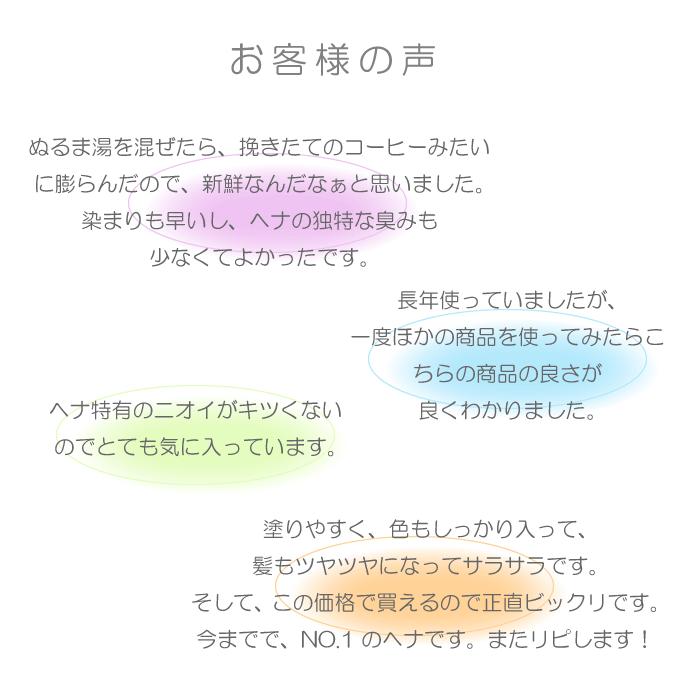 公式ショップ】「お徳用」ヘナ物語 ダークブラウン 100g×2個 ヘナ+