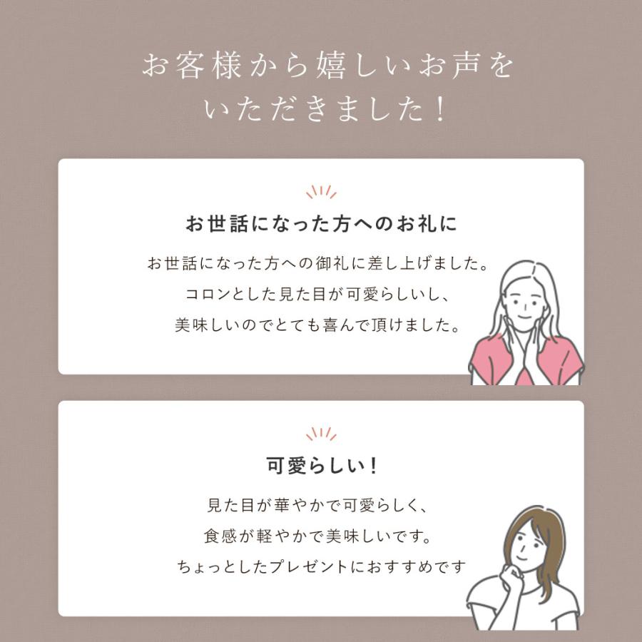 父の日 プレゼント ギフト スイーツ お菓子 詰め合わせ 内祝い お返し 個包装 焼き菓子 クッキー シーキューブ C3 サクッチ・ホロッチ 12個入 CSC-12R | C3シーキューブ | 04