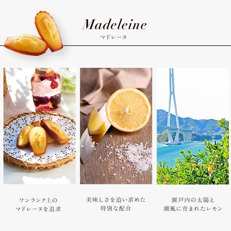 メール便 ポイント利用 お試し商品 サンプル プチギフト 2000円 ポッキリ お菓子 スイーツ アンリ フィナンシェマドレーヌ詰合せ 14個入ポストイン HFM-20PI | アンリ・シャルパンティエ | 09