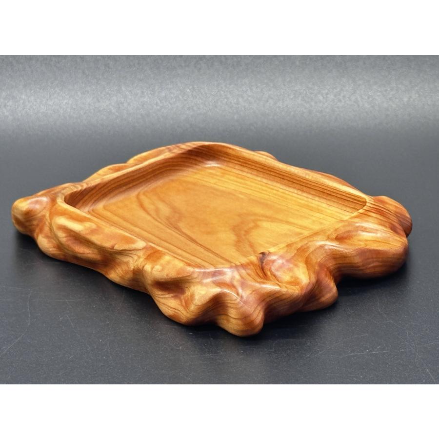 寒蘭-019　486-4H　日光×薄桃花（大輪更紗無点×西雄）　苗　交配種 寒蘭-019 486-4H 日光×薄桃花（大輪更紗無点×西雄） 苗