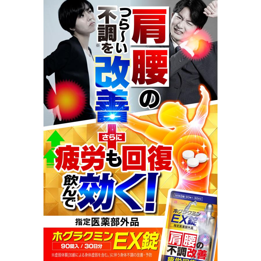 ハーブ健康本舗 ホグラクミンEX錠 90粒（30日分）指定医薬部外品 国内