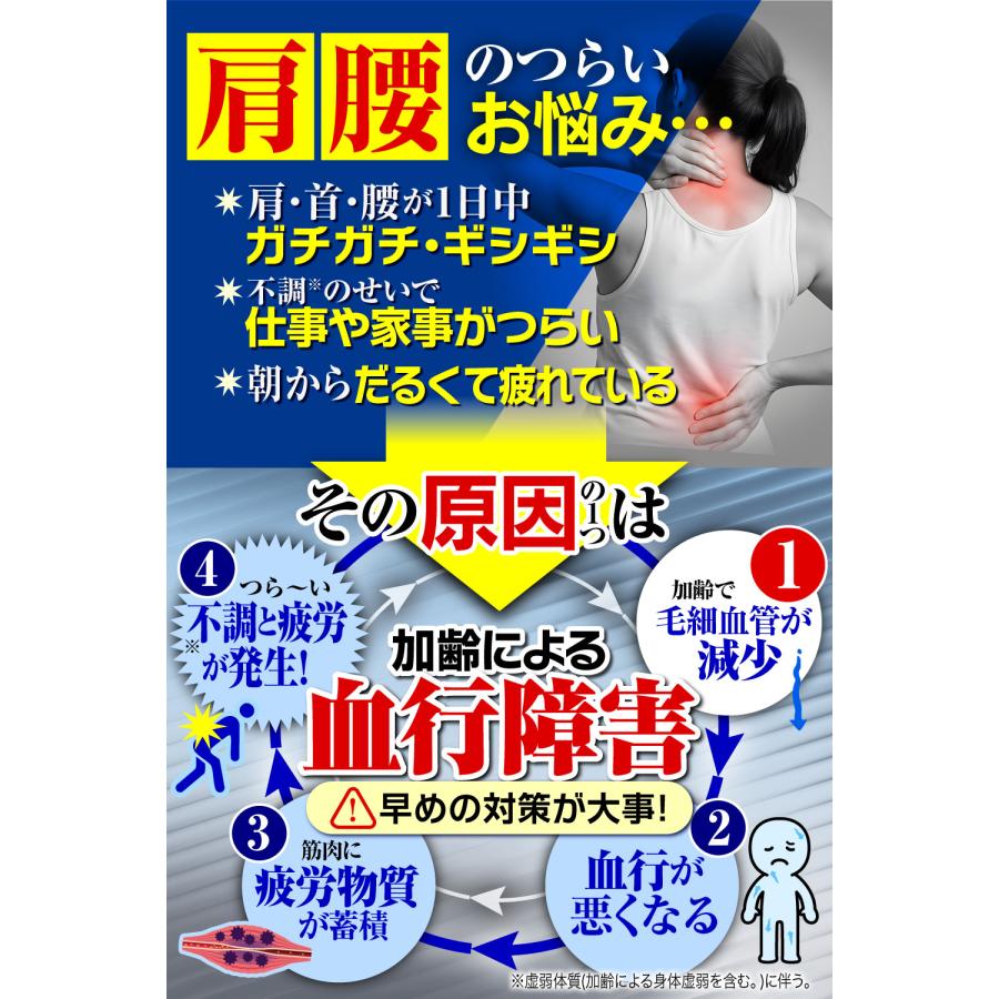 ハーブ健康本舗 ホグラクミンEX錠 90粒（30日分）指定医薬部外品 国内