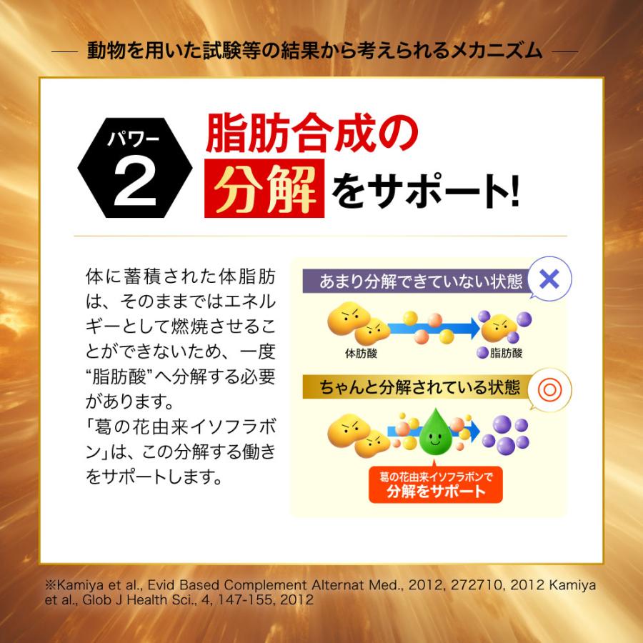 シボヘール 【公式ショップ】 シボヘール3 30日分 120粒 2個セット