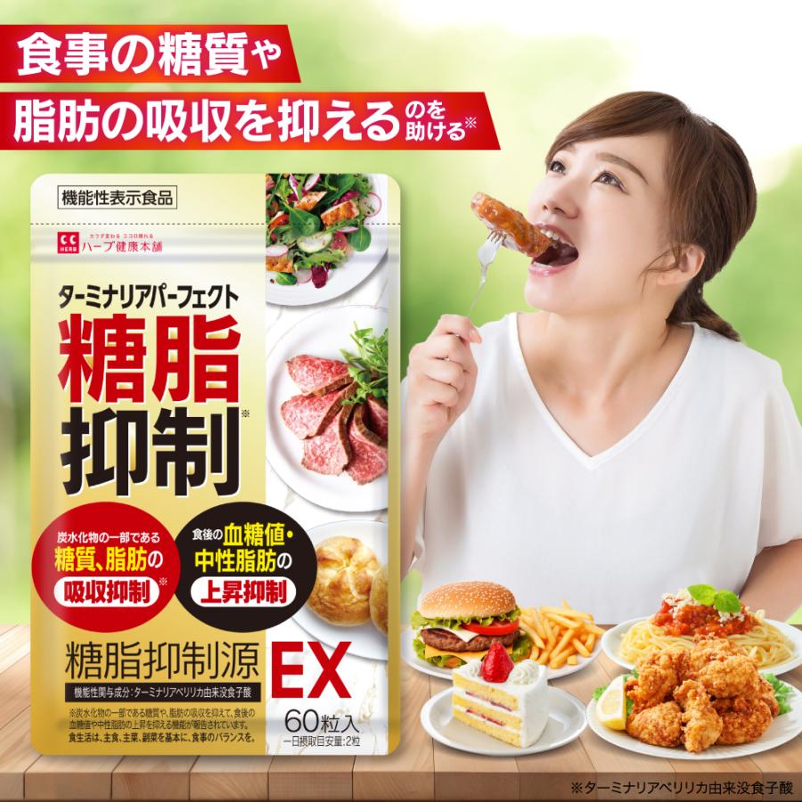 ハーブ健康本舗 ターミナリアパーフェクト 糖脂抑制源 EX 60粒（30日分