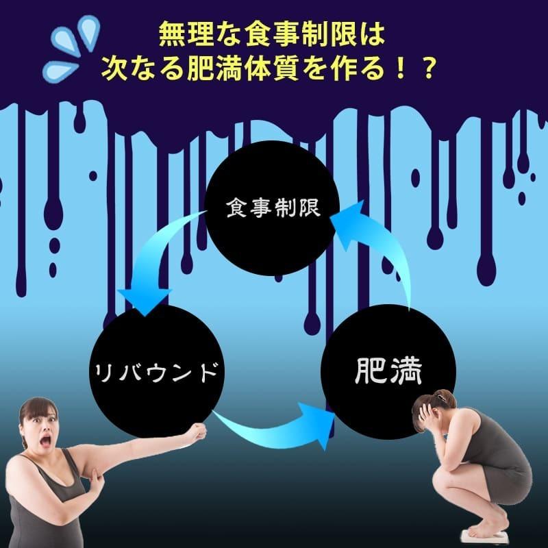 防風通聖散 Egタイトlight 180錠 第2類医薬品 皮下脂肪 肥満症 漢方 生活習慣病 便秘 むくみ ダイエット お腹 脂肪 Eglight 漢方生薬研究所 通販 Yahoo ショッピング