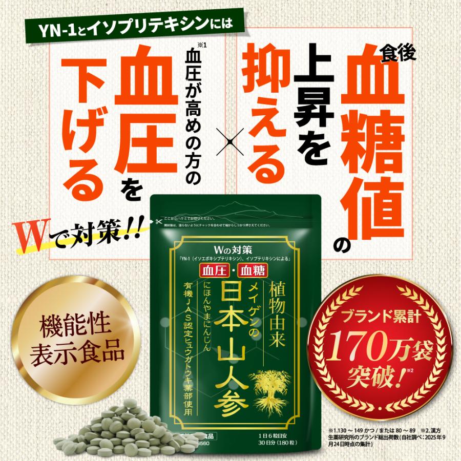 漢方生薬研究所 日本山人参 食後血糖値の上昇を抑える 血圧が高めの方