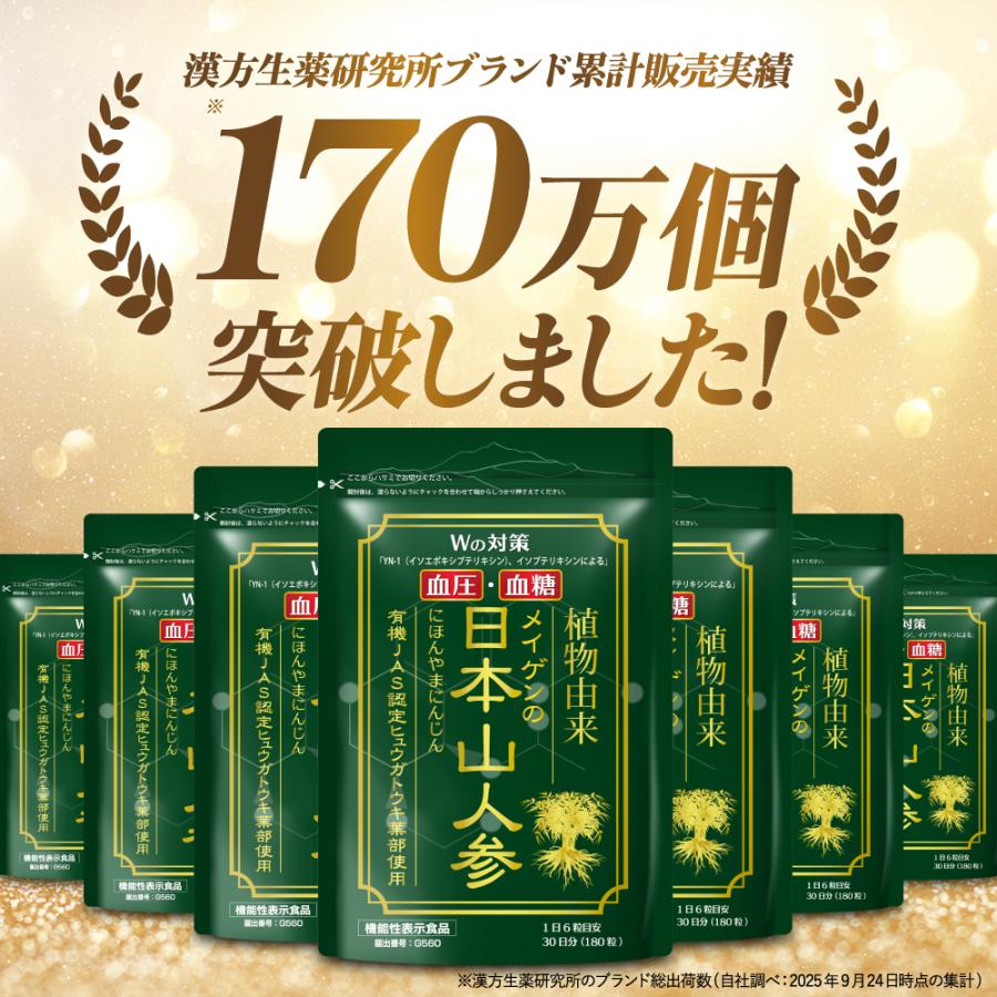 漢方生薬研究所 日本山人参 食後血糖値の上昇を抑える 血圧が高めの方