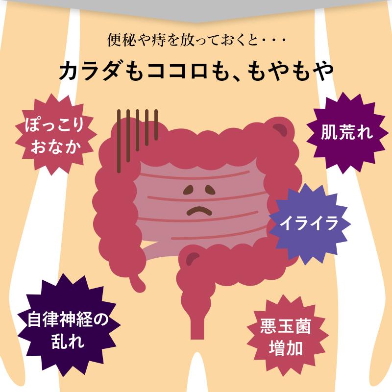 激安通販新作 痛み 胃痛 痔瘻 いぼ痔 外痔核 切れ痔 高血圧 便秘 効果 ...