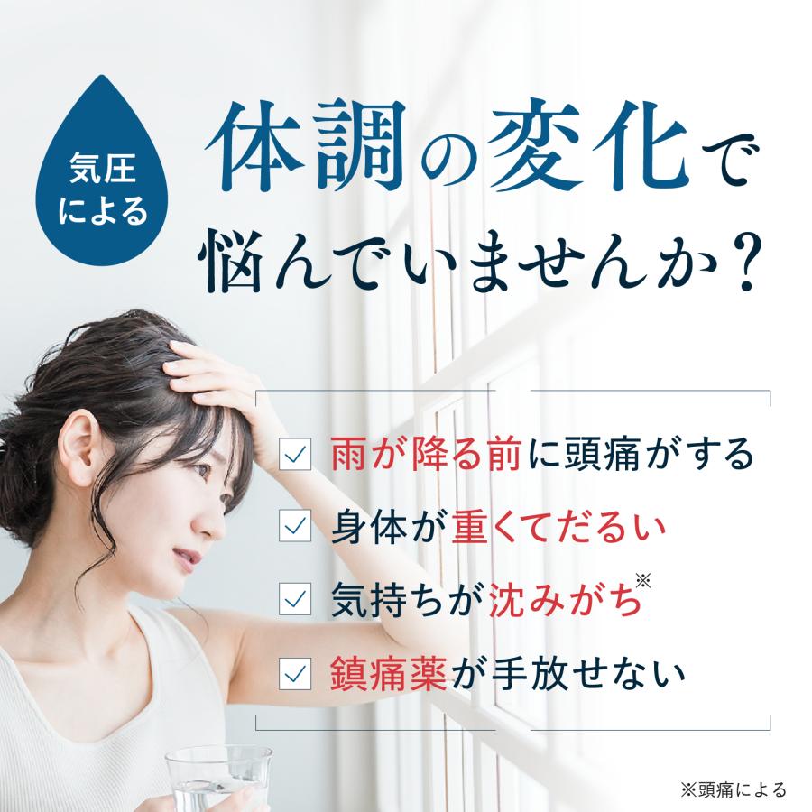 第2類医薬品 五苓散 レナール 1箱90包 五苓散料 第2類医薬品 五苓散 レナール 1箱90包 五苓散料