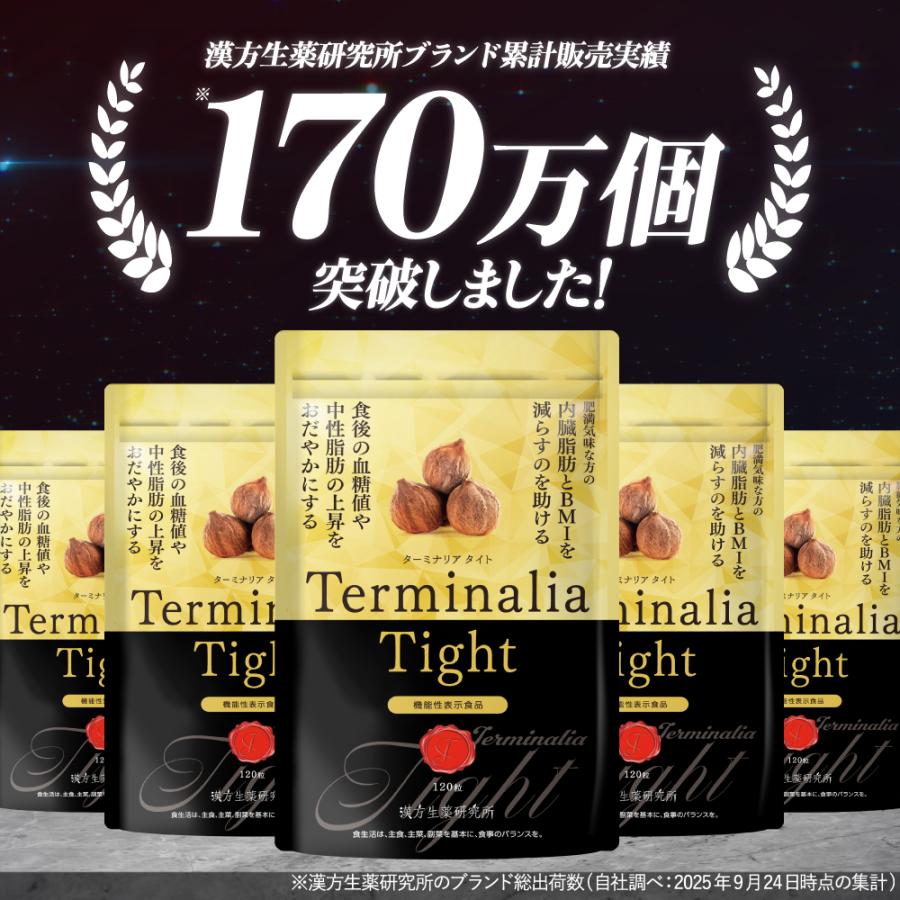 漢方生薬研究所 ターミナリアタイト 2袋 ターミナリアベリリカ 血糖値