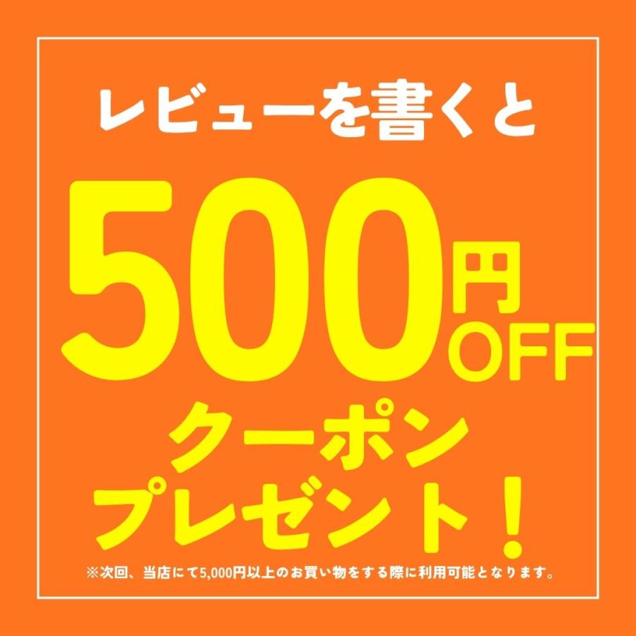 漢方生薬研究所 ターミナリアタイト 3袋 ターミナリアベリリカ 血糖値