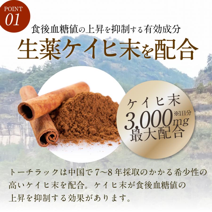 漢方生薬研究所 【第3類医薬品】トーチラック 4袋 2ヶ月分 糖尿病 薬 