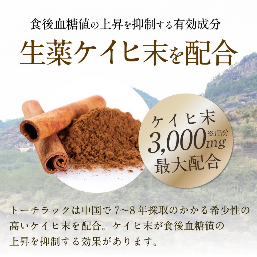 漢方生薬研究所 【第3類医薬品】トーチラック 1袋 225錠 糖尿病 薬