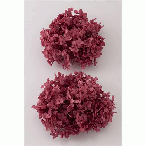 ソフトアナベル ヘッド 2輪 カシスピンク プリザーブドフラワー 花材 大地農園 プリザーブドフラワー 花材 大地農園 ドライフラワー ハーバリウム Anaberu Kasisu ハーバリウム専門店atellier Memi 通販 Yahoo ショッピング