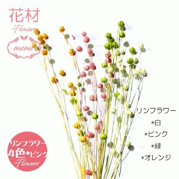 ハーバリウム 花材 カラフル詰め合わせ 選べる11種類 リンフラワー ラグラス ラスカス ポアプランツ ハニーテール Bo ハーバリウム専門店atellier Memi 通販 Yahoo ショッピング