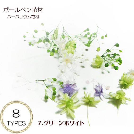 ハーバリウム ボールペン 花材セット 8セット入り｜herbarium｜08