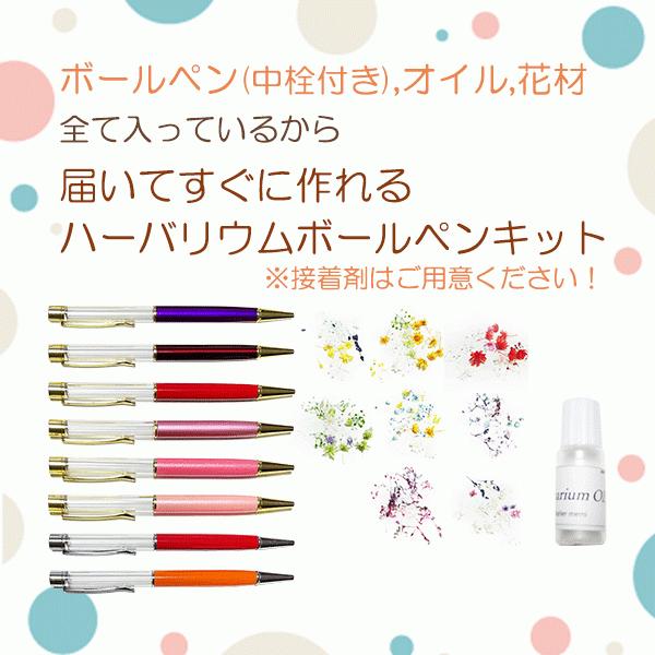 ハーバリウム キット ボールペン 送料無料 お任せ2本 手作り 花材  