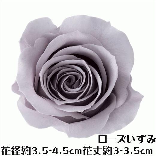 ローズ いずみ パールグレー 1輪 プリザーブドフラワー バラ 花材 大地 