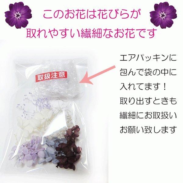 ハーバリウム フラワーシリーズ 花材セット【花材のみ】 : Atellier
