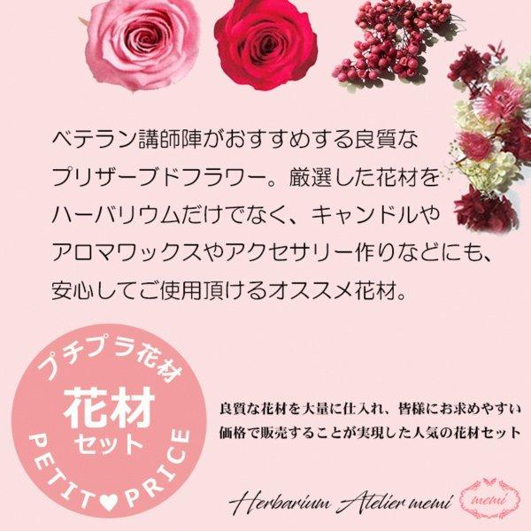 ハーバリウム フラワーシリーズ 花材セット【花材のみ】 : Atellier