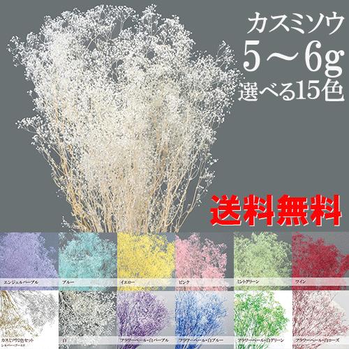 カスミソウ かすみそう 花材 プリザーブドフラワー【小分け】 5〜6g入り 少量パック ソフトミニカスミ草 ハーバリウム 花材（Yahoo!・Atellier memi）