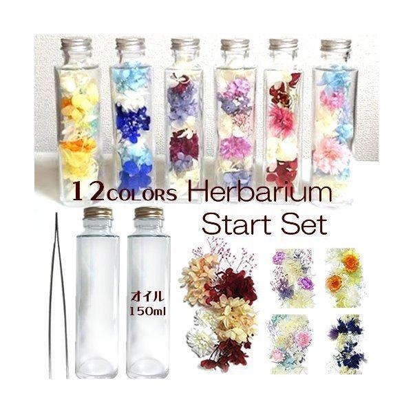 ハーバリウムキット 1本 150ml円柱ボトル ピンセット オイル150ml 選べる花材（Yahoo!・Atellier memi）