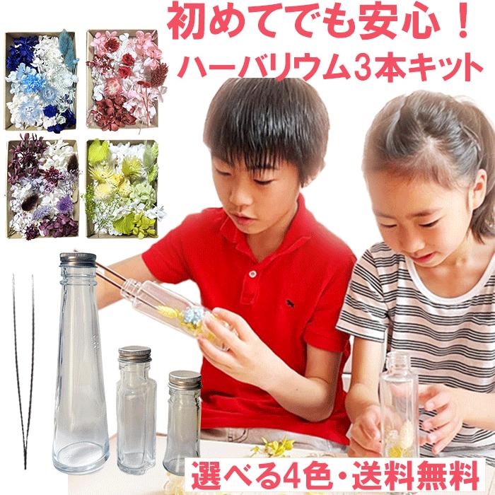 ハーバリウム キット 3本 花材 セット ブルー ピンク レッド グリーン パープル ピンセット オイル 専用液 手作り花のインテリア DIY おしゃれ 手づくり 手作り（Yahoo!・Atellier memi）