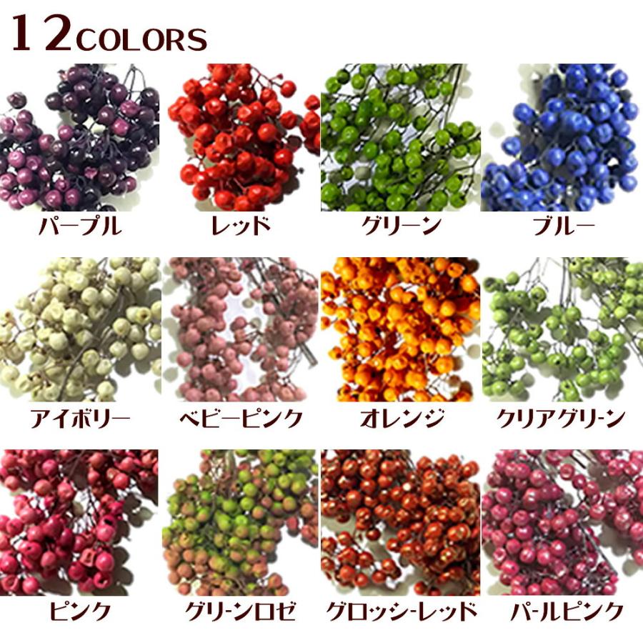 ハーバリウム 花材 キット プリザーブドフラワー ペッパーベリー 少量パック 選べる12色|herbarium|03
