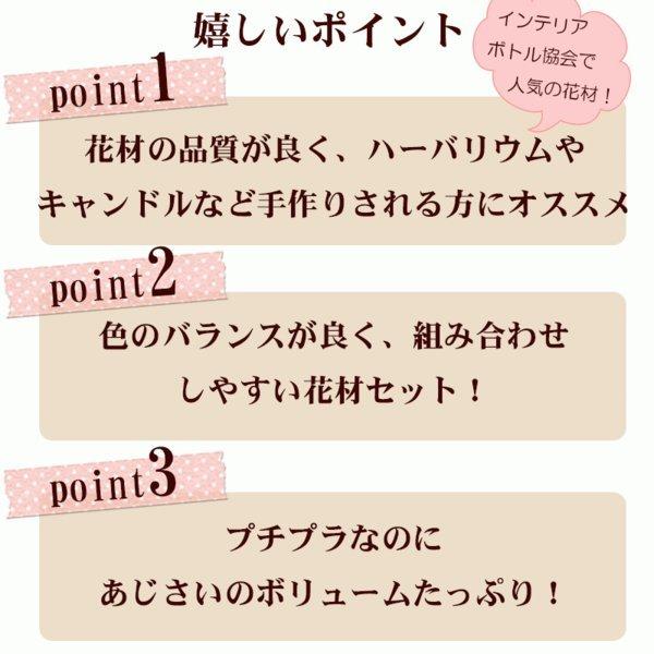 ハーバリウム 花材 シルバーデージー あじさい カスミソウ お得なセット ピンク・ ブルー・ グリーン・ パープル |  | 05