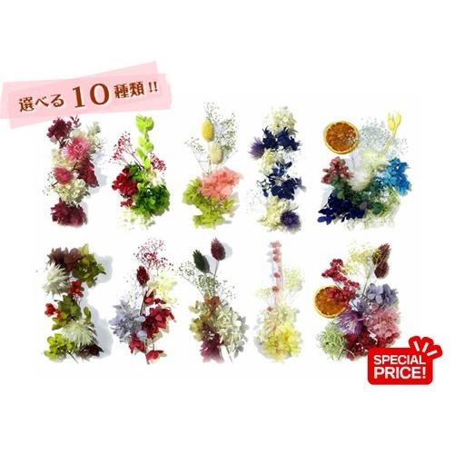 ハーバリウム 花材セット あじさいも入っている クリスマス 花材 お得 