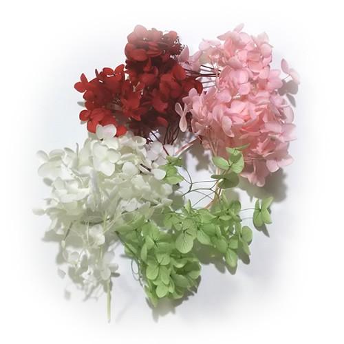 495円 大切な人へのギフト探し ハーバリウム 花材 あじさい4色セット 赤 白 ピンク 緑