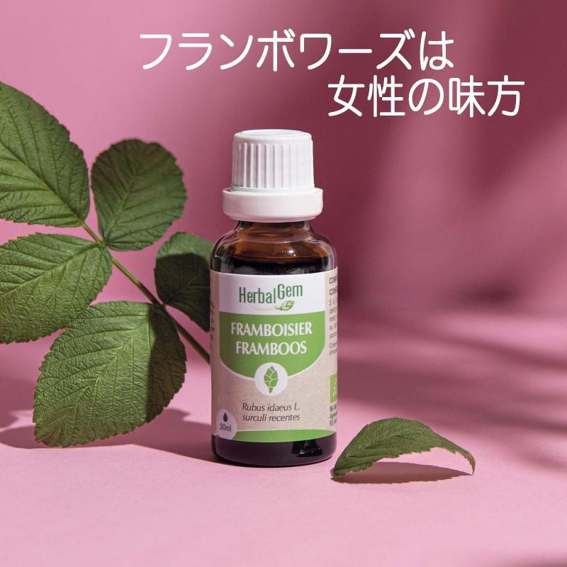 ジェモセラピー ラズベリー 15ml ジェムレメディ シングル ハーバル サプリメント 新芽 フランボワーズ チンキ BIO Raspberry FRAMBOISIER｜herbcenter