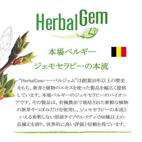 エルム 15ml ジェムレメディ シングル ハーバル サプリメント お肌のインナーケア 新芽 ジェモセラピー チンキ BIO Elm ORME｜herbcenter｜02